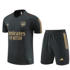 Arsenal Træningstrøje Sæt 2023-24 - Grå
