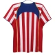Atletico Madrid Hjemmebanetrøje Retro 2004-05 Fodboldsæt