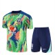 Brasilien Trænings T-shirt Sæt 2025-26 - Shorts Grøn