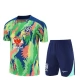 Brasilien Trænings T-shirt Sæt Børn 2025-26 - Shorts Grøn