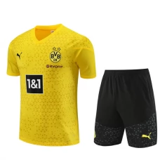 BVB Borussia Dortmund Træningstrøje Sæt 2023-24 - Yelow