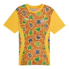 Ghana Hjemmebanetrøje Pre-Match 2025 Fodboldsæt