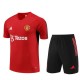 Manchester United Trænings T-Shirt Sæt 2023-24 - Rød