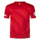 Spanien EM 2024 Hjemmebanetrøje Fodboldsæt Patch