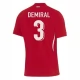 Tyrkiet EM 2024 Demiral 3 Udebanetrøje Fodboldsæt