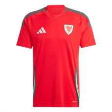 Wales Hjemmebanetrøje 2024 Fodboldsæt