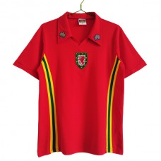 Wales Hjemmebanetrøje Retro 1976-79 Fodboldsæt