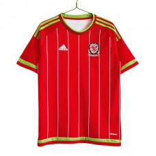 Wales Hjemmebanetrøje Retro 2015 Fodboldsæt