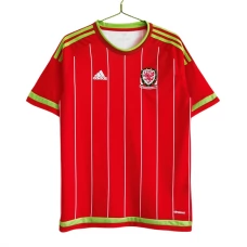 Wales Hjemmebanetrøje Retro 2015 Fodboldsæt