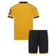Wolverhampton Wanderers Børn Hjemmebanetrøje 2025-26 Fodboldsæt